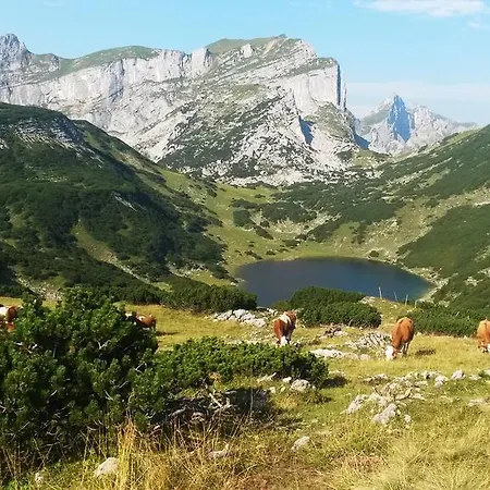 Privathaus Achensee *