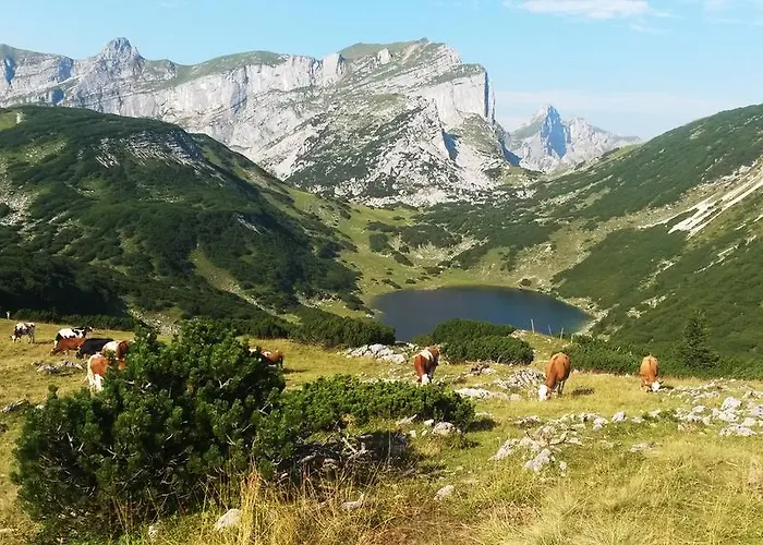 Privathaus Achensee *