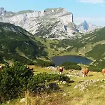 Privathaus Achensee *